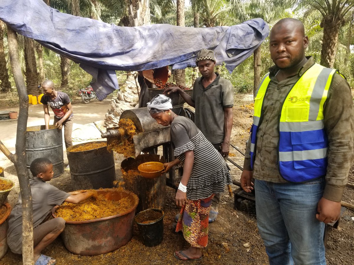 daoudab32's tweet photo. Actif dans le transfert de Technologie en milieu rural, le CECAD se deploie auprès des producteurs d'huile de palme dans la sous-préfecture  de Kamsar, District de Kamakoulou.

#CECAD Votre partenaire de réussite et de croissance. https://t.co/fKP1yJ8vuh