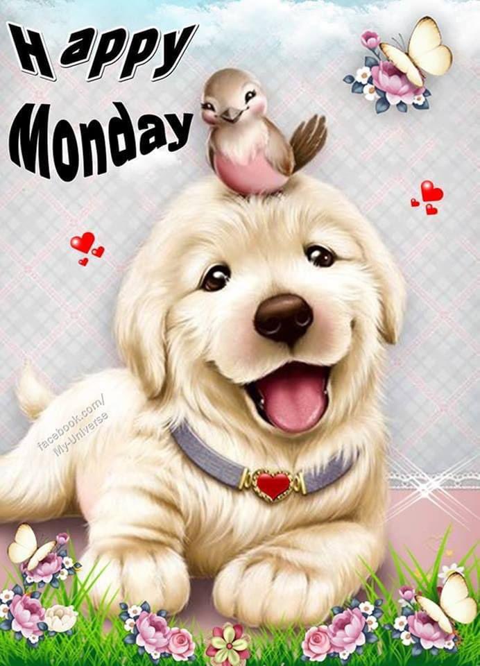 Happy Monday Everyone! Have an AMAZING week! #MondayFunday #MondayMotivations
