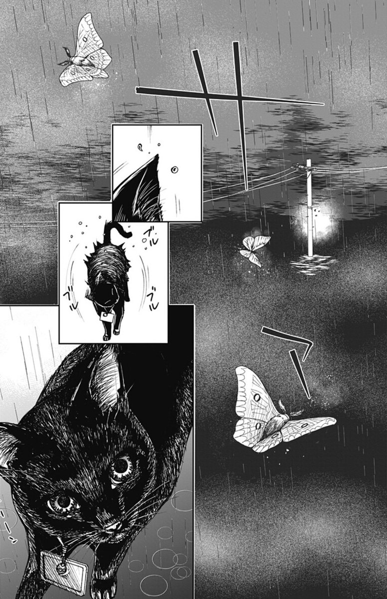 夢猫ハ闇夜ニ潜ル🐈‍⬛4/13🐈‍⬛

#漫画が読めるハッシュタグ #ホラー漫画 