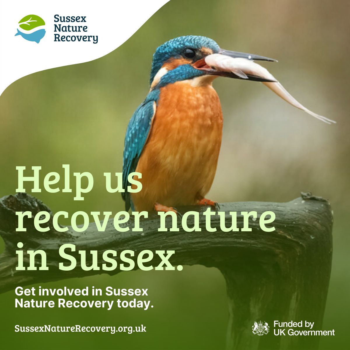 Help us shape the priorities for nature recovery! We’re working with East and West Sussex County Councils to help create Local Nature Recovery Strategies for East and West Sussex and Brighton & Hove: SussexNatureRecovery.org.uk #SussexNatureRecovery #SussexLNRS #HelpSussexNature