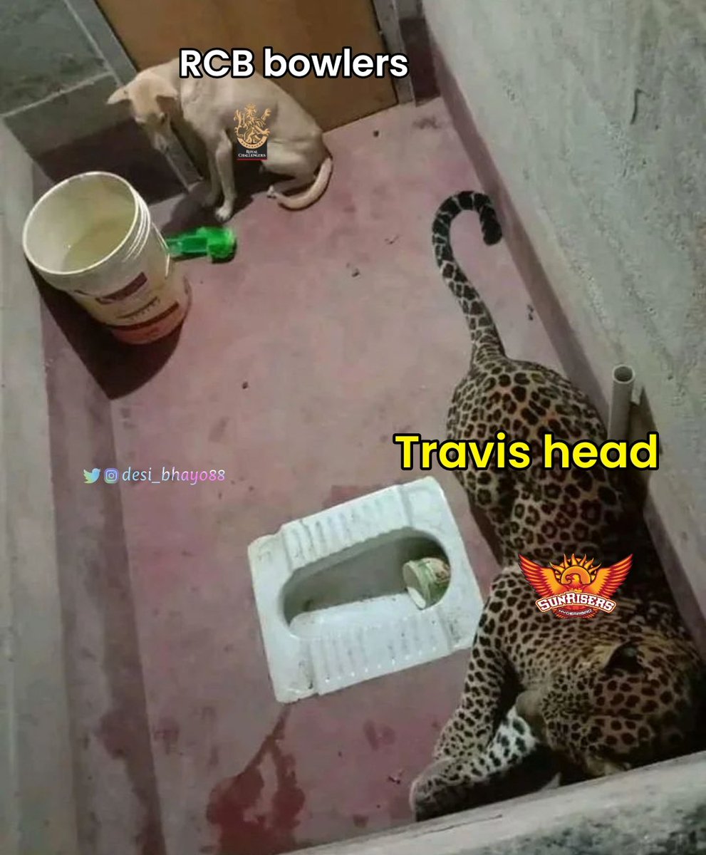 Travis head 
#RCBvSRH