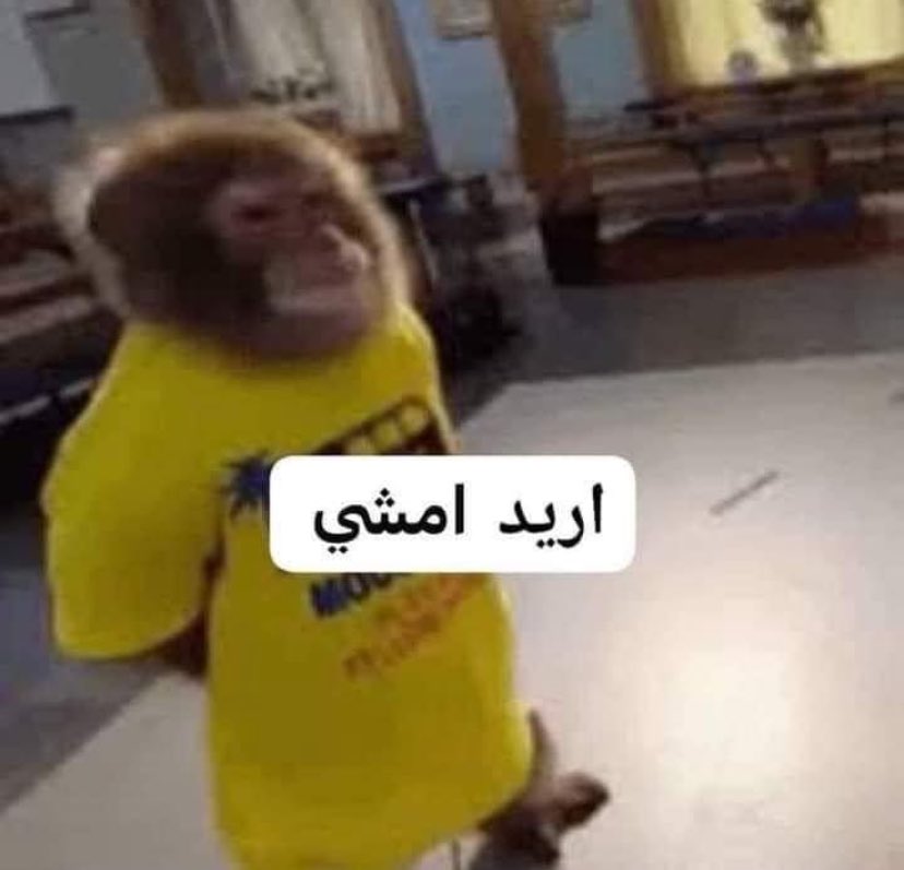 4lixna's tweet photo. تشافي ورا كل فوز https://t.co/2s2IQfLxsG