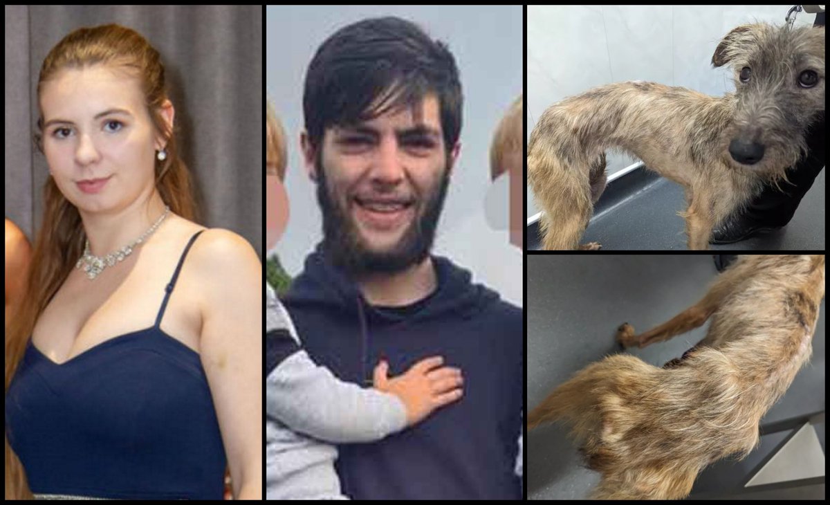 Please retweet, CONVICTED | Levi Swift, 21, and Bethany Greener, née Bethany Murray, 34, from #Hartlepool, #CountyDurham – starved their pet lurcher to near death #UK 
The charges brought by the RSPCA related to a six-week period between October 20 and December 1, 2023, when