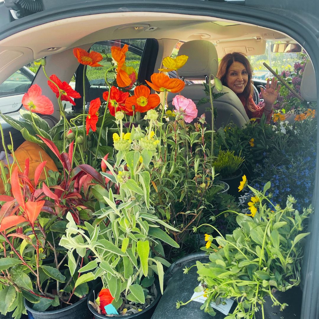 ShimoffMarci's tweet photo. Spot me in my happy place if you can! 😁
What better way to celebrate Spring than to grab a friend, hop in the car, & head to the nursery? I was in heaven🥰
I picked a few flowers (or maybe more than a few) that made me #HappyForNoReason 😊
What makes you happy? Please share 👇 https://t.co/K9ykR7gwIL