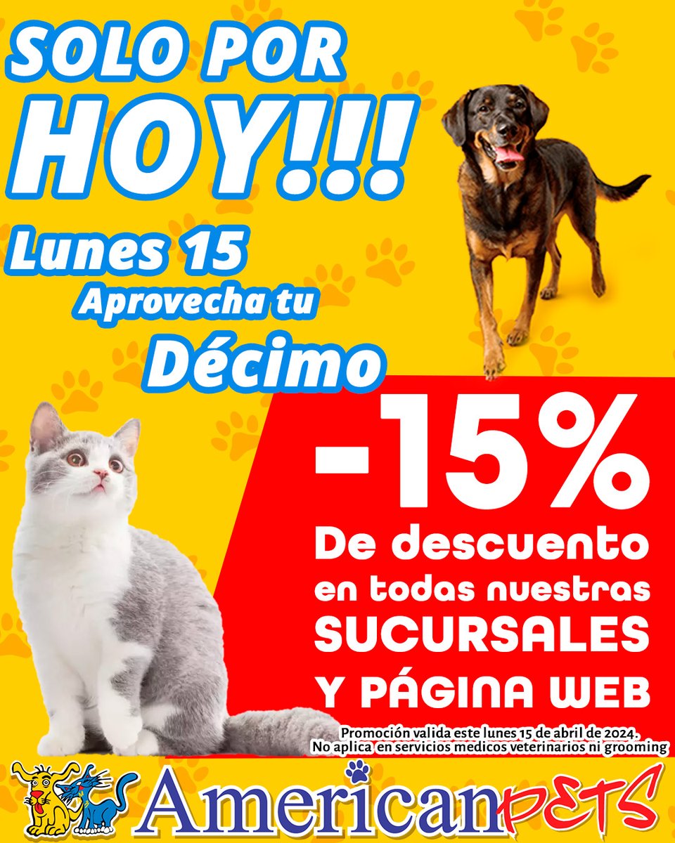 American Pets tweet media