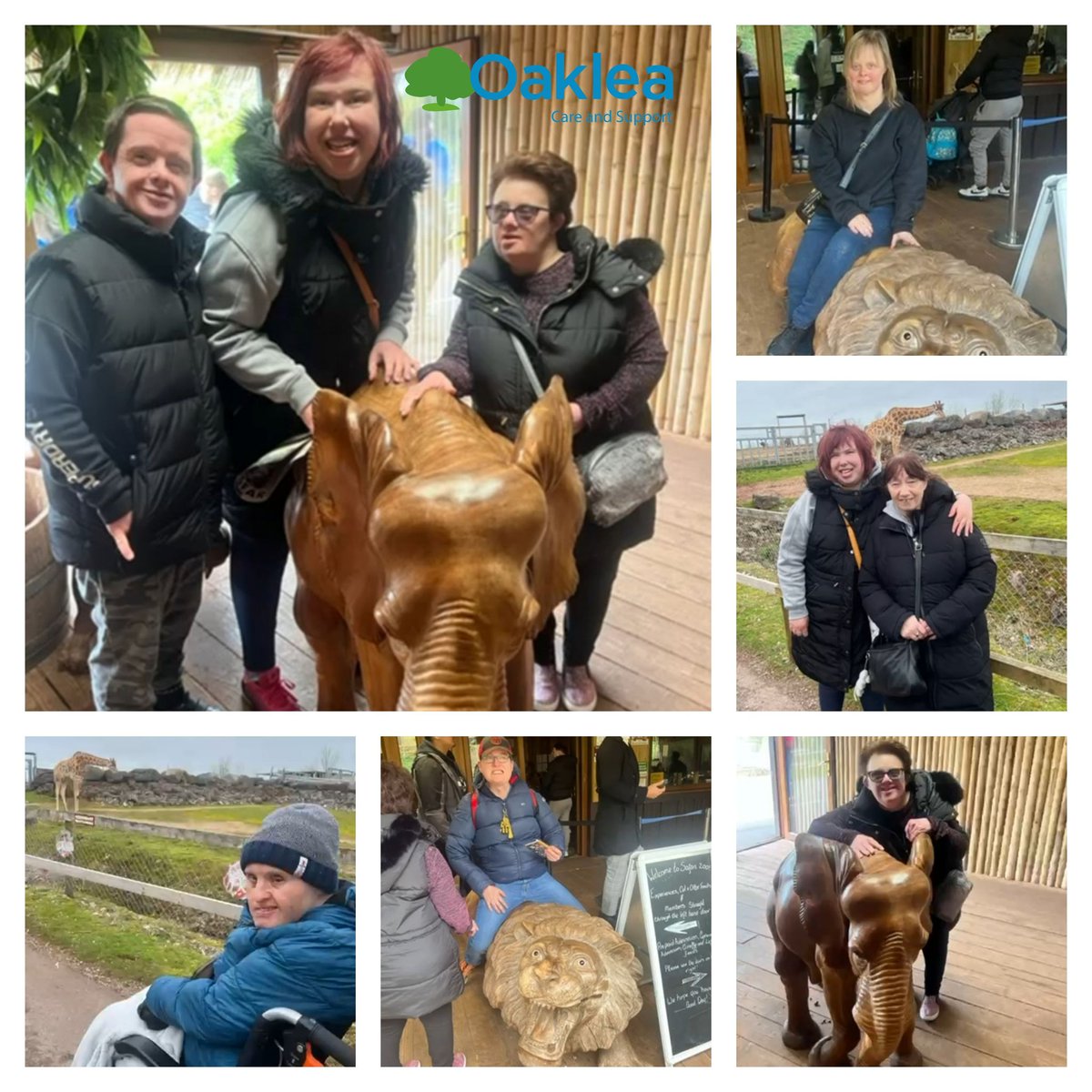 🐘Elephants never forget🤔Nor do we💗Better have buns ready!😋
Some of our intrepid chums from Barnard Castle have made annual pilgrimage to S Lakes Safari Zoo🦒Video in all it’s giraffe er glory on our TT channel!
tiktok.com/@oakleatrust #Cumbria #countydurham #barnardcastle