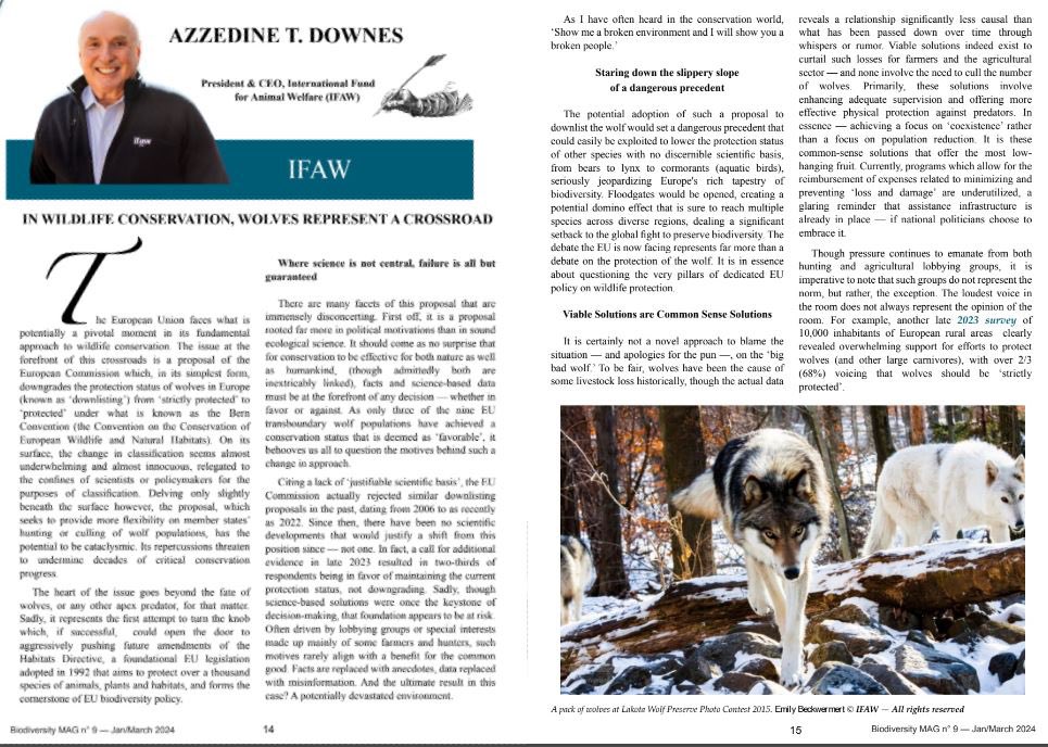 #BiodiversityMag #9 is out & it's focused on #Hunting. In my article (Pages 14-15), I discuss how wolves represent a crossroad in wildlife conservation, delving into policy context, habitat loss, rewilding & solutions. Let me know what you think! rb.gy/5jfvyw