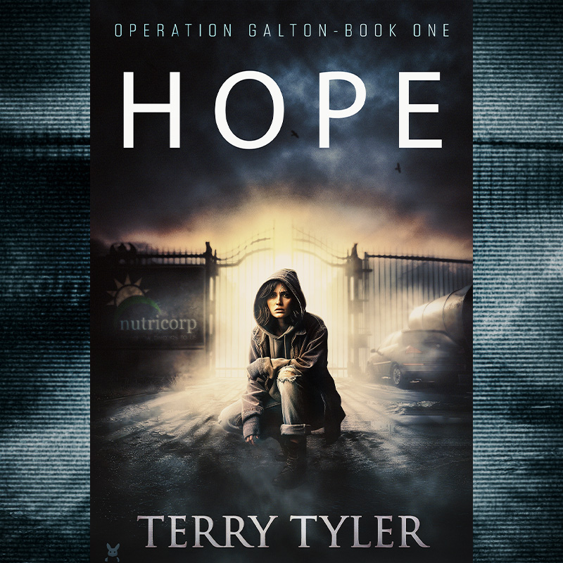 Year 2028. Hope Villages: the new government initiative to house the #homeless, its success confirmed by fake photos on social media. The true purpose of the 'villages' is well hidden - and truly shocking. - H O P E - bookgoodies.com/a/B07S89DK54 #Dystopian 0.99 #KindleUnlimited