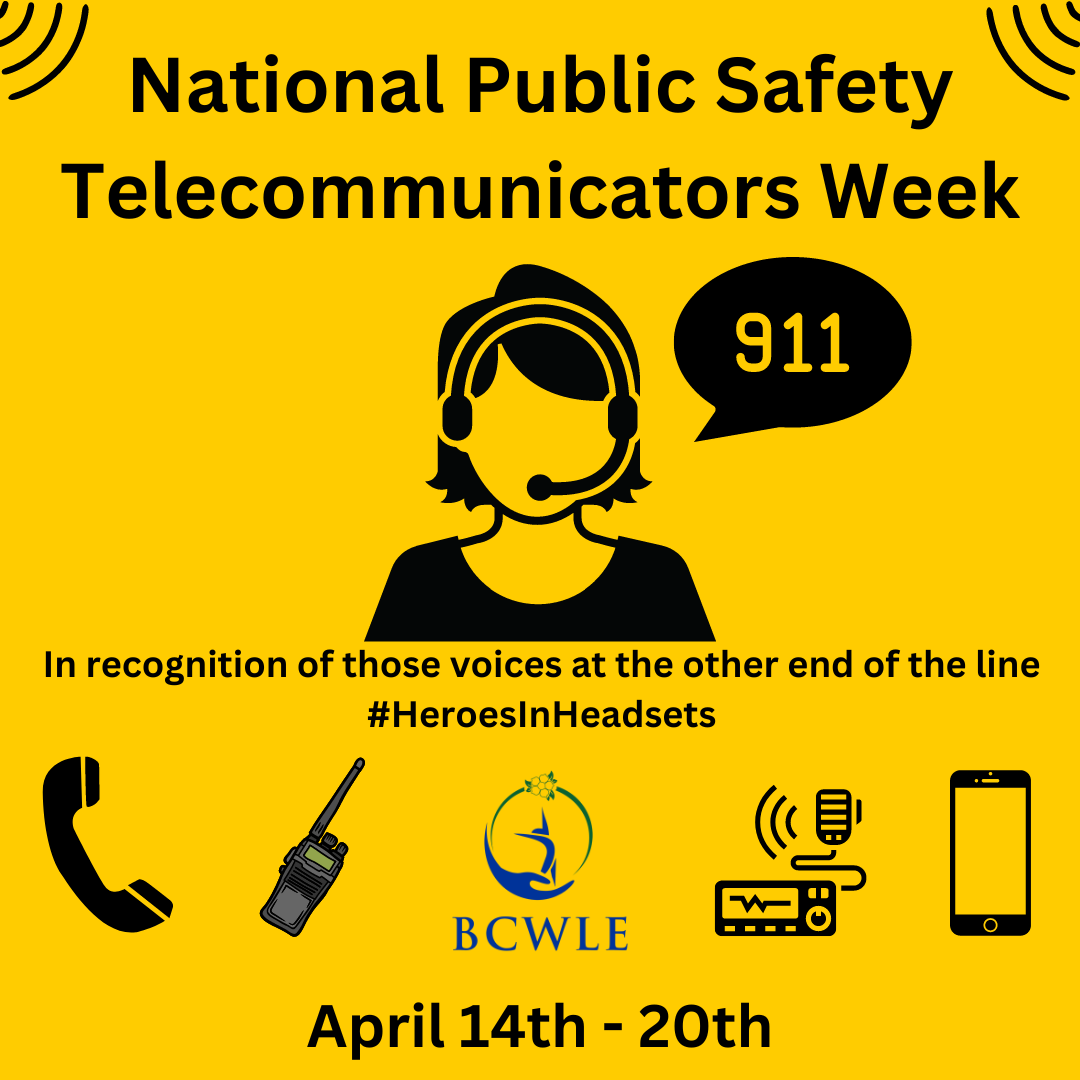 This is National Public Safety Telecommunicators Week, when we recognise the #HeroesInHeadsets: 9-1-1 operators, Call-Takers, & Dispatchers in Emergency Services. They're the first, #FirstResponders. 

Thank you.

#StrongerTogether #BCWLE #WomenLeading