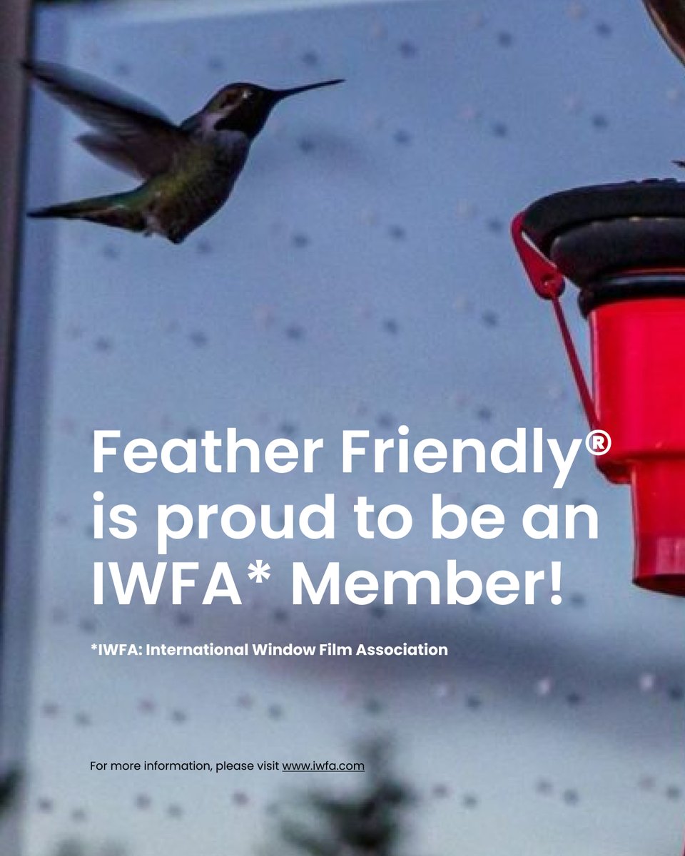 FeatherFriendly's tweet photo. Feather Friendly is now a proud member of IWFA!
#birdsafe #windowmarkers #glasscollision #featherfriendly #IWFA https://t.co/JbH34NmlMW