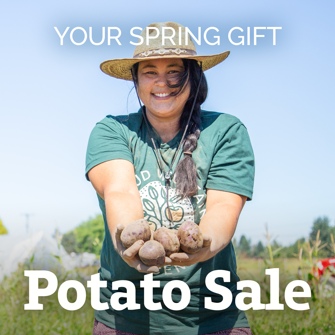 As a thank you for your continued support, we're taking 10% off your #organic #seed #potato orders while supplies last. Use the #discountcode: HOTSPUDS at check out.⁠ ⁠ Browse our excellent selection of organic seed potatoes today at bit.ly/3VQfAli. 🥔🥔