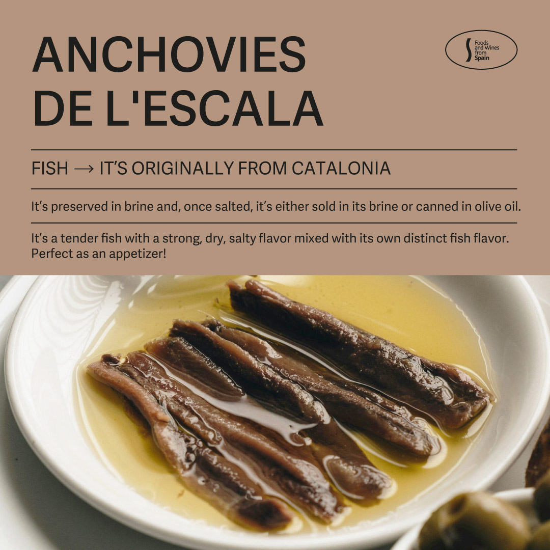 Anchovy is a blue fish and an emblematic ingredient of the Mediterranean diet💫 bit.ly/48X8azy It is a product rich in Omega 3 that helps regulate cholesterol levels. #Anchovies can be tasted in many different ways, have you ever tried?👇 #foodsandwinesfromspain