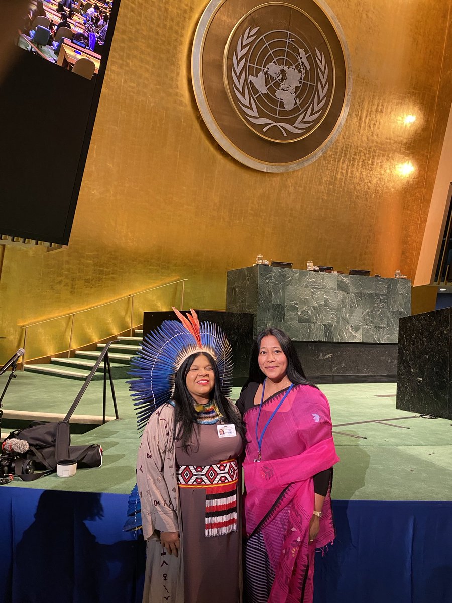 The 23rd Session of ⁦@UN4Indigenous⁩ starts in a few minutes.A beautiful moment meeting ⁦@GuajajaraSonia⁩ Brazil’s first Indigenous Minister at @UN General Assembly who will be giving Keynote Remarks at the Forum today #WeAreIndigenous #UNPFII2024 #PeoplePeacePlanet