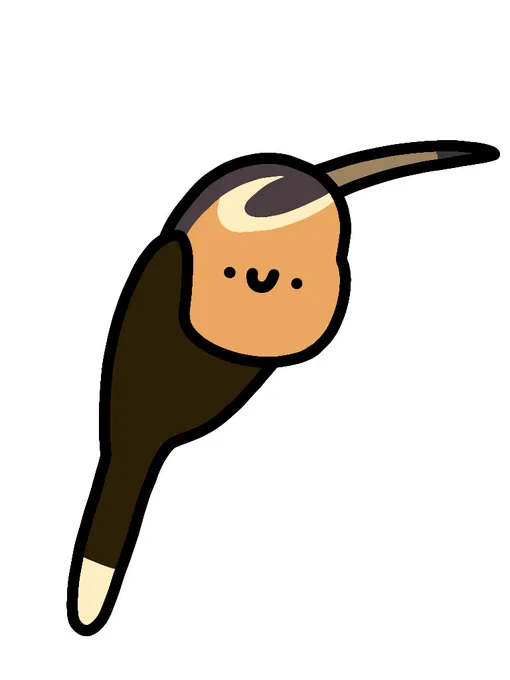 ハリハシハチドリ 