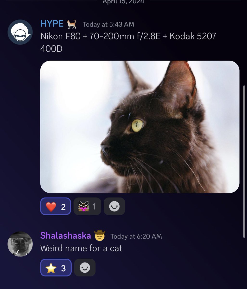 No Context Bird Empire (@birdemp_moment) on Twitter photo 