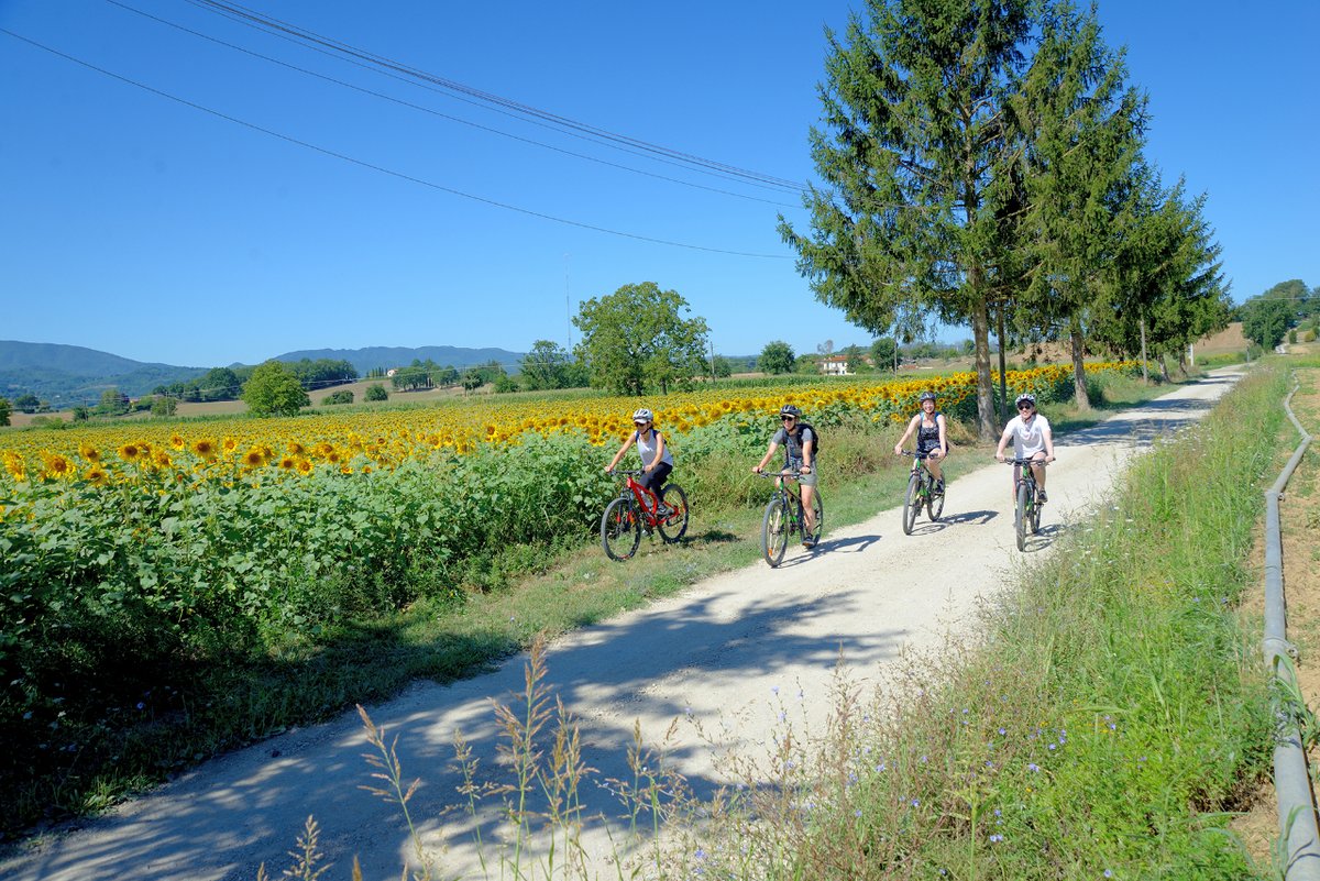 #Tours Explore #Mugello by bicycle, far from the tourist trails. You will cross the hills on two wheels and taste the typical products of local crops to discover the authenticity of the rich Mugello territory. Find out more about the route! bit.ly/MugelloBikeTas…