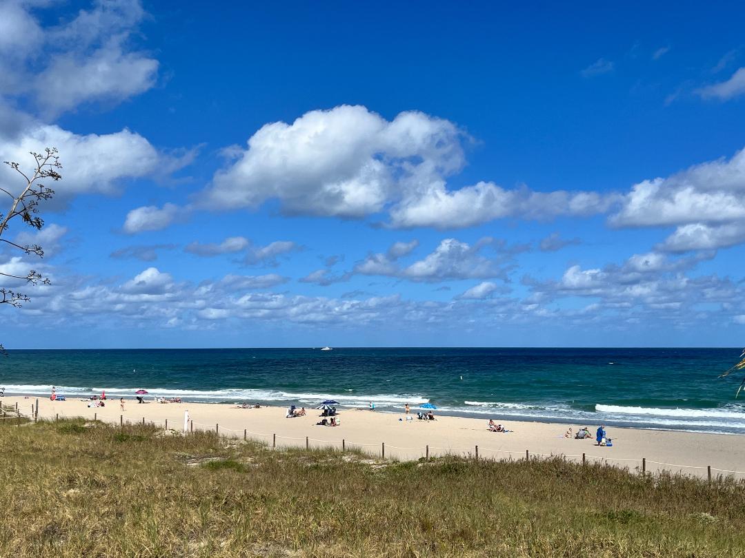 Let's Get Real...

Speculation and gambling are at all time manic highs, so how about we understand real values...

1/ Gold:- The industrial value of gold is somewhere between $500-$800. all the rest of the price is pure 24 caret speculation.

2/ Bitcoin:- The intrinsic value of