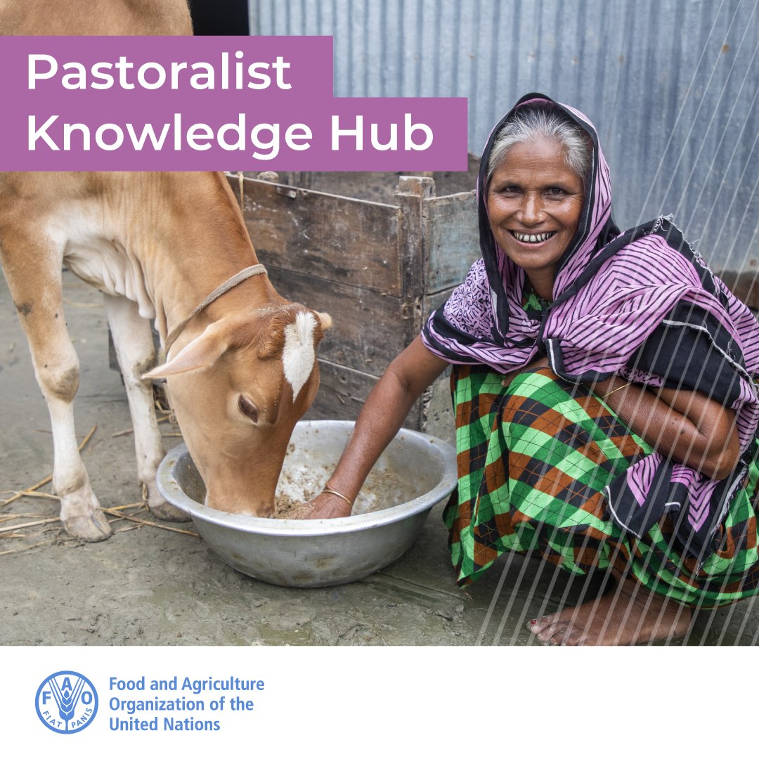 Pastoralist women play a 🗝️ role in #SustainableLivestock development. Their work is crucial for: 🥘 food security 🌄 environmental protection 💰 income generation 🐷 animal health 👉 Discover more on @FAO’s work on pastoralism: bit.ly/1DL9wHr