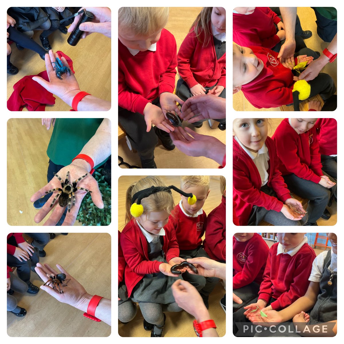 Foundation had a fantastic time meeting a variety of mini beasts and learning all about them. #bugfest