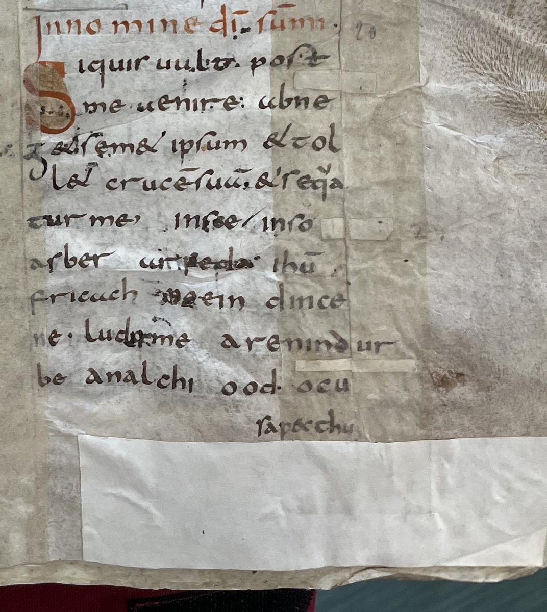 Last week I had the great privilege of looking at Cambrai MS 679, which has the oldest example of Old Irish prose (fols. 37r-38r), a homily on the colours of martyrdom. #manuscript #medieval #ManuscriptMonday #oldirish (1/2)