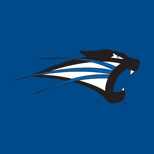 I’m truly blessed and excited to announce I will be furthering my academic and baseball career at the University of Saint Francis. Thank you to all my friends, coaches, and family that have supported me throughout this journey. Go Cougars! 

<a href="/USFBaseballCoug/">USF Cougar Baseball</a> <a href="/SCDragonsBBall/">SilverCreek Baseball</a>