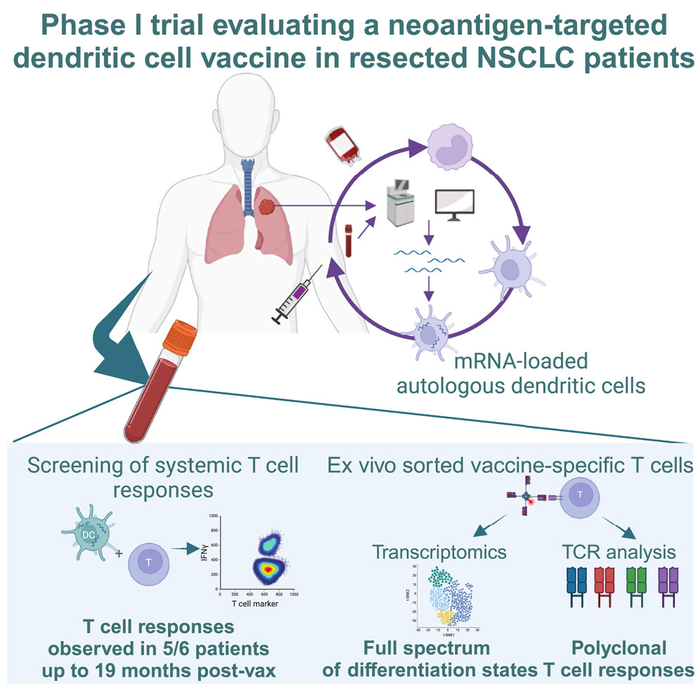 Personalized neoantigen cancer vaccines to rev up the immune system are gaining momentum. A new pilot study in non-small cell lung cancer adds to the mix cell.com/cell-reports-m… @CellRepMed