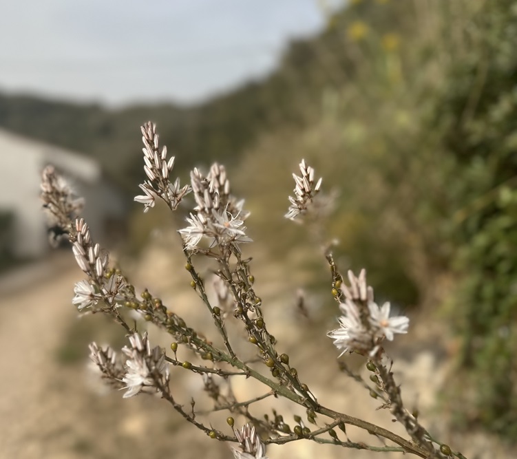 Hear about fairer, greener banking for charities & churches @ the Ethical Banking Workshop on Wed 24 April. Learn how changing to an ethical bank account could benefit people & planet. @LewesClimateHub 11-12.30 Lewes House, 32 High Street, BN7 2LU lunt.liz1@gmail.com for details.