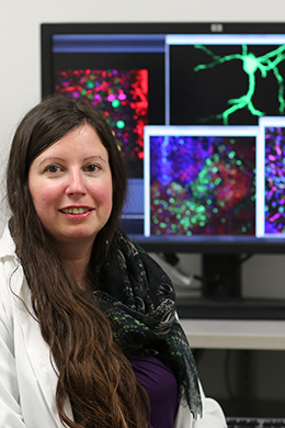 Proud to announce Caroline Ménard wins the 2024 CAN New Investigator Award for groundbreaking research on stress vulnerability and resilience. 🎉🎉🎉🏆 can-acn.org/awards/new-inv… @cervo_ulaval @universitelaval @caromenard666