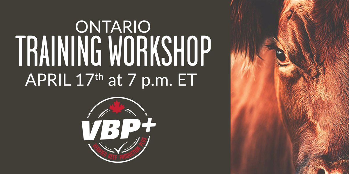 If you are interested in learning more about Verified Beef Production Plus (VBP+), please sign up for the free training webinar happening this Wednesday, April 17th. See more details and register here: ontariobeef.com/farmer-hub/ind… @VBPCanada @CRSB_beef #beef #sustainablebeef