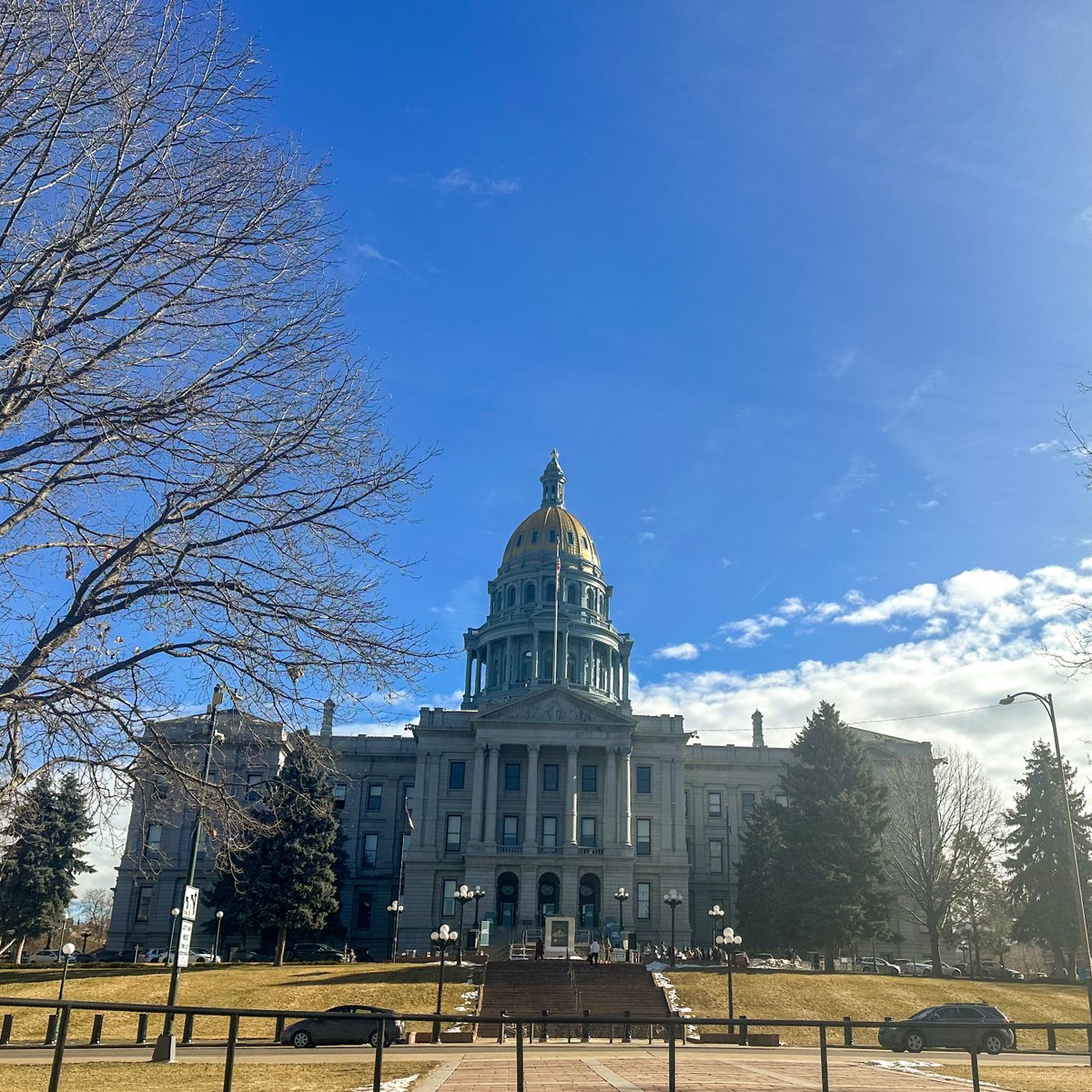 🌄 At the Colorado State House, we saw the scale of our work. Active in 70% of states and supporting all government levels! 🚀 #GovRelations #MakeAnImpact