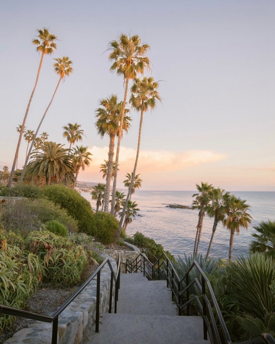 ✨🌴Daydreaming of these views!✨🌴 Remember to use our official hashtag, #MyLagunaBeach when posting pictures of Laguna Beach for a chance to be featured on one of our pages! 📸:@zachlehman.photo