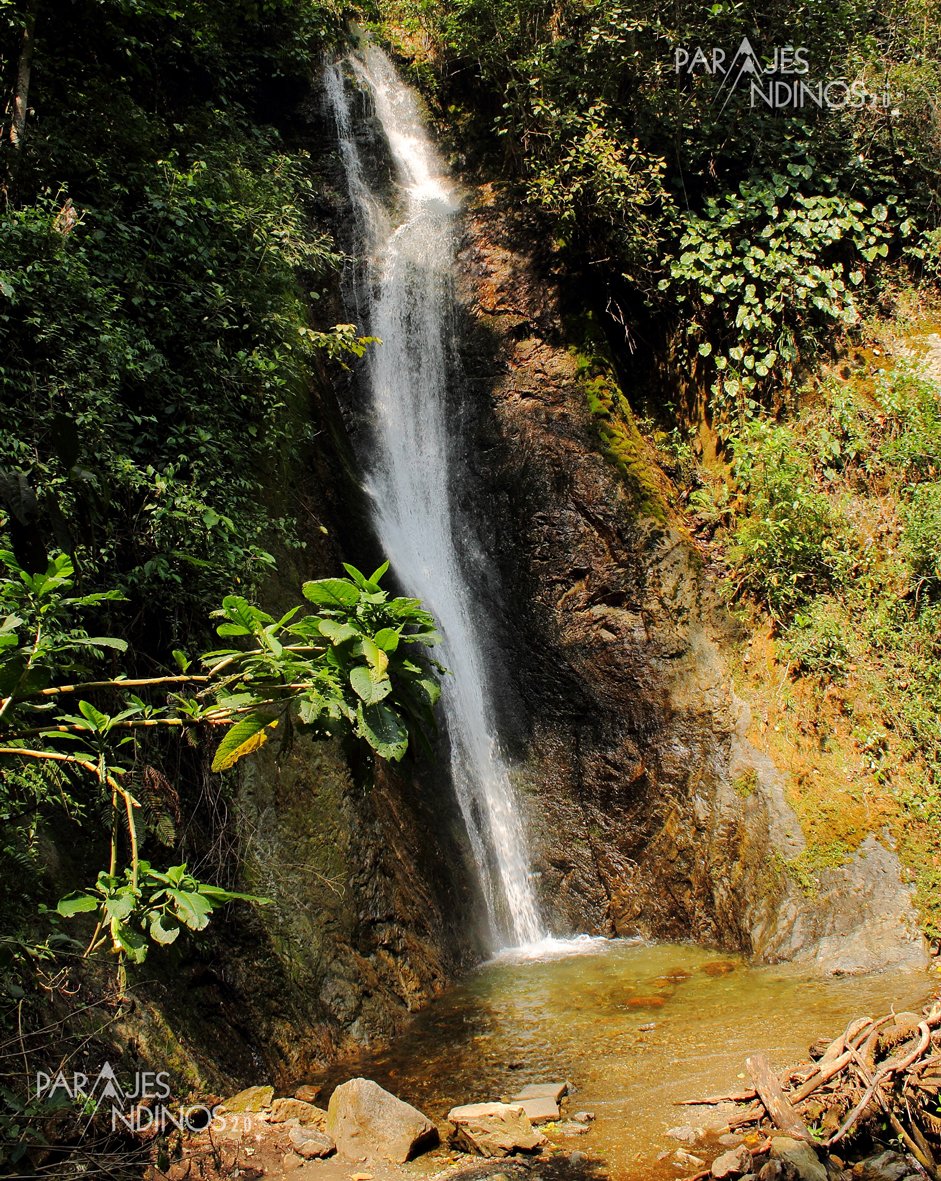 ¿Conoces la #cascada Velo de la Novia en Santo Domingo?

Una caída de agua de naciente natural en la cima de la #SierraNevada de #SantoDomingo conocido como el Páramo de los Granates.

Conócela a tan sólo 9 kilómetros del pueblo de Santo Domingo, carretera vía Barinas.