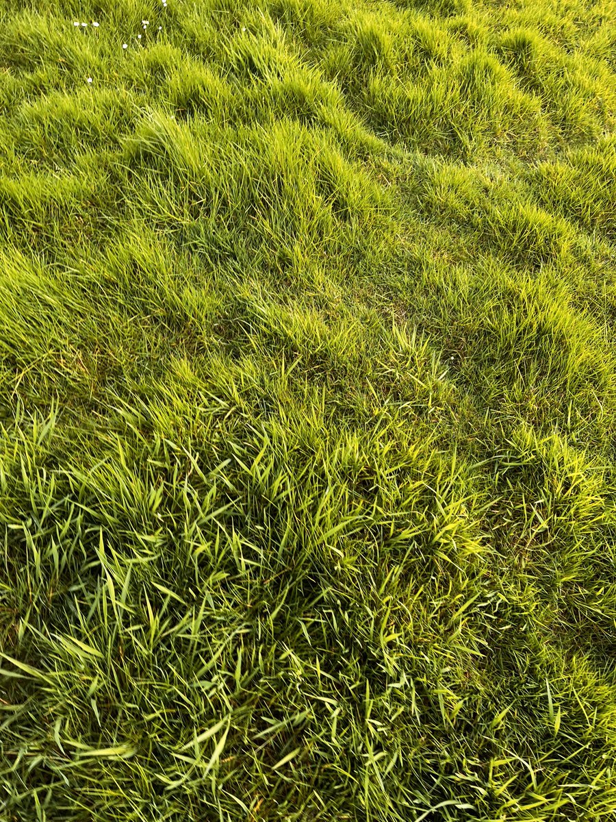 Love the British weather. These are our football pitches. And with no astroturf it makes it very difficult for our door lessons