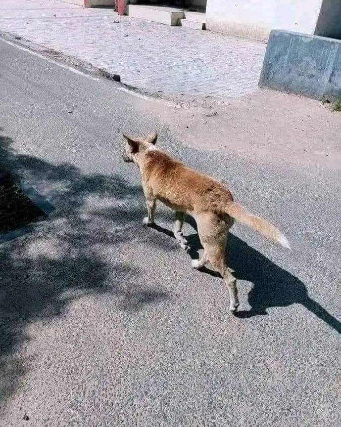 withaasthakc's tweet image. Jhut kehte the Woh log 😒