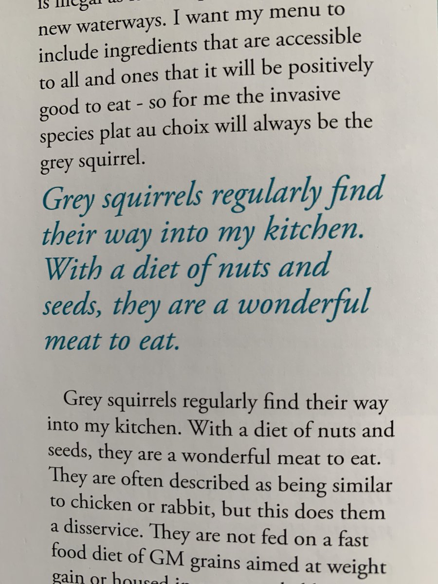 I read this first & interpreted it as ‘squirrel comes into my kitchen’.
I wasn’t expecting Mr Nutkin to be Mr Nutroast.