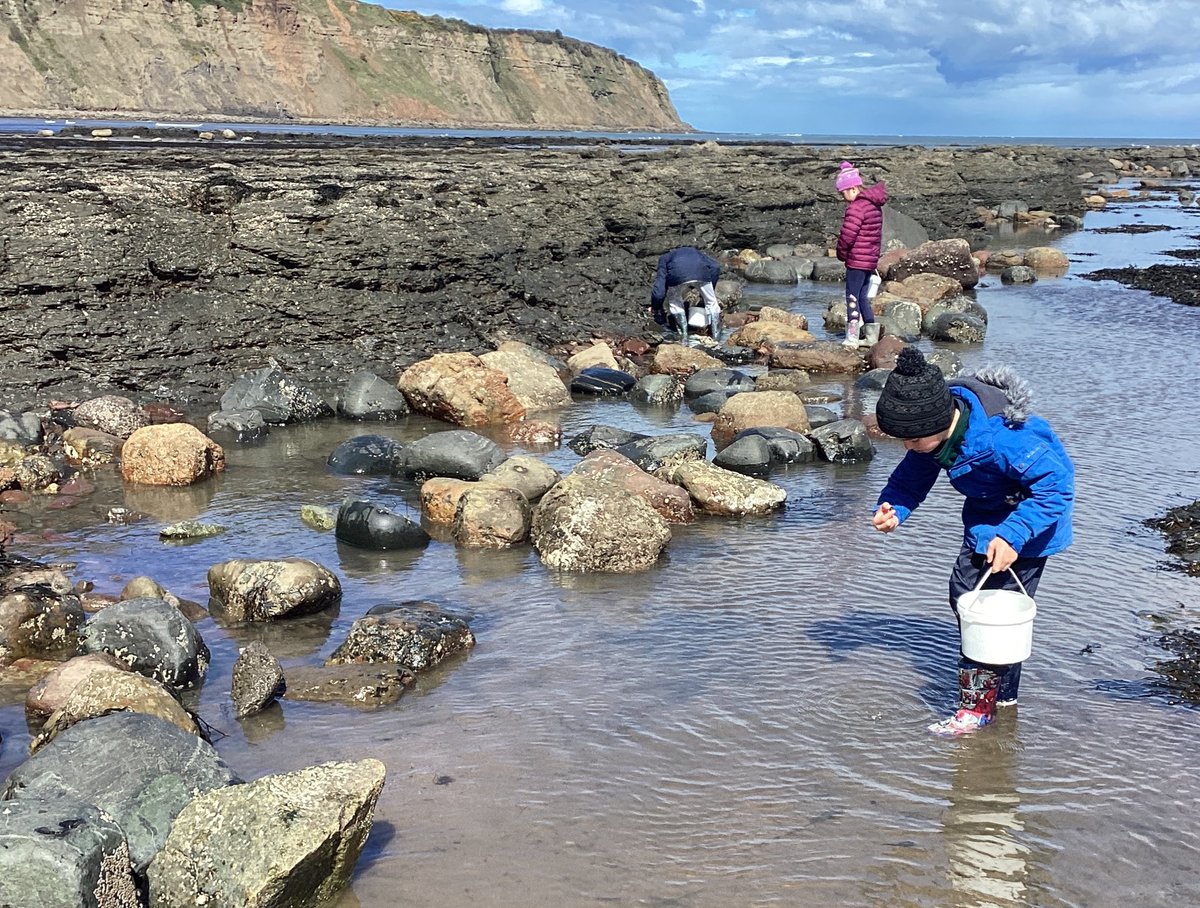 We have had a great time rock pooling. Sea anemones, crabs, barnacles and sea snails were all spotted!