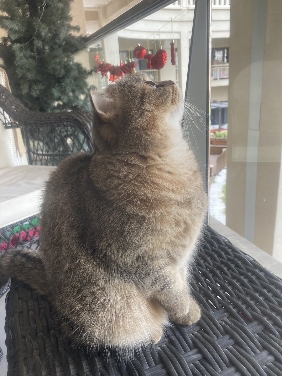 Acı veriyor yeni bir güne başlamak sensiz.