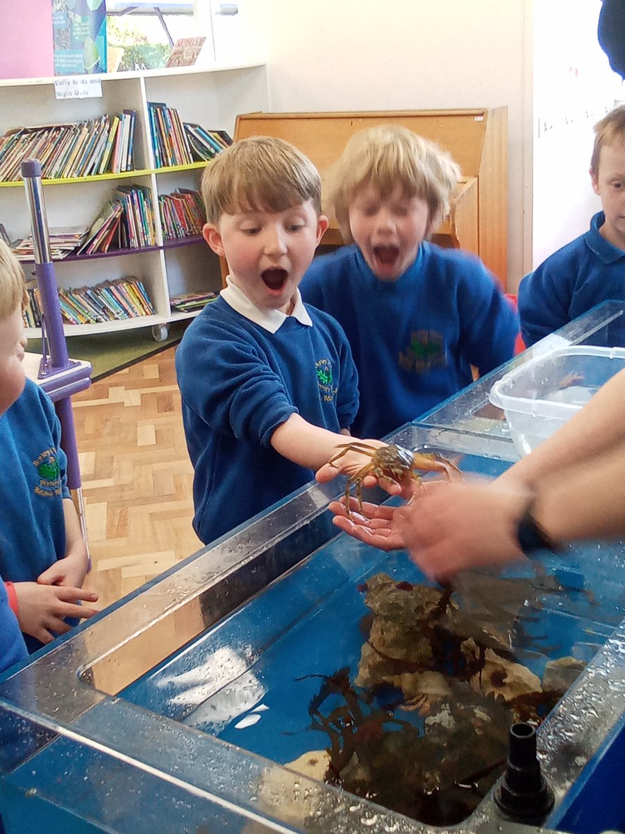 Awe and wonder in Year 2 today as we took part in a fabulous rock pool experience.