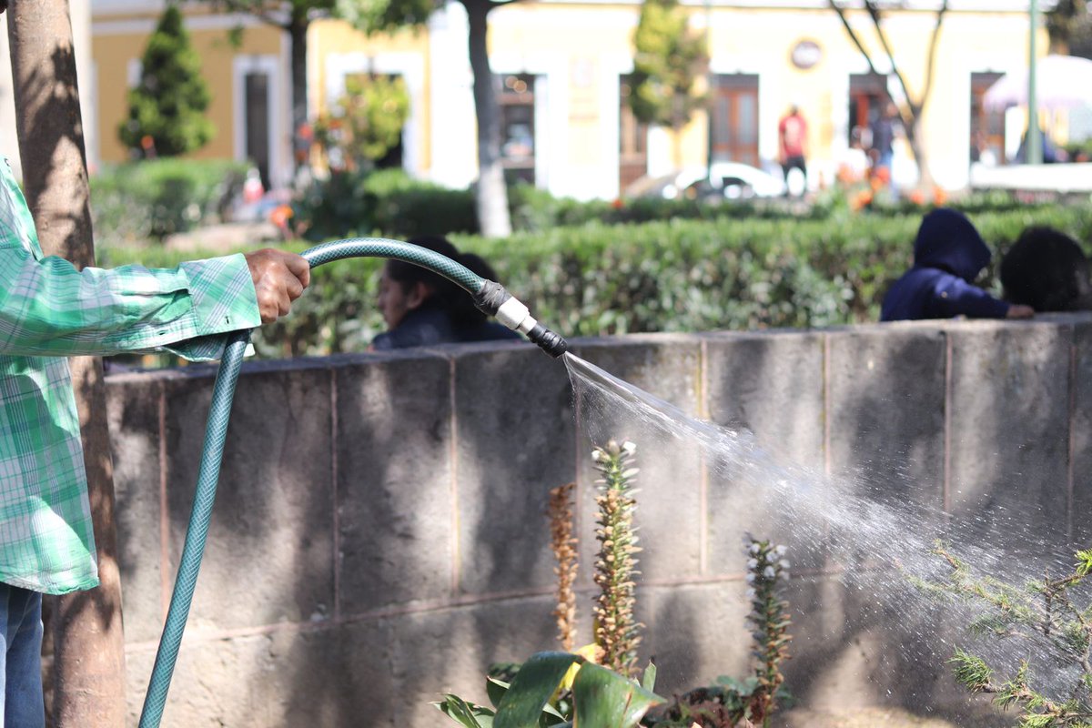 🌳🚿La Dirección de Parques y Jardines trabaja en la limpieza de banquetas y regando jardineras del parque central. 🌱💧 Trabajamos para una ciudad limpia y floreciente. #MuniXela #SeguimosTrabajando #CiudadVerde