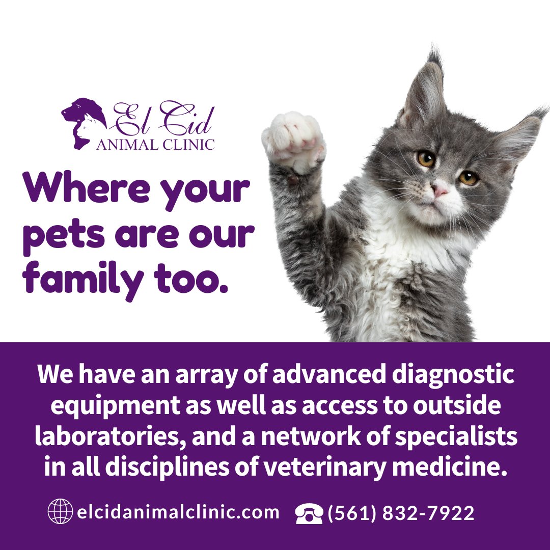 🐈🐩🐱At El Cid Animal Clinic, your pets are our family!

🌐 elcidanimalclinic.com
☎️ (561) 832-7922

#ElCidAnimalClinic #PetHealth #Vet #LocalVet #Veterinarian #WestPalmBeach #WPB #LocalVetClinic #DixieHwy