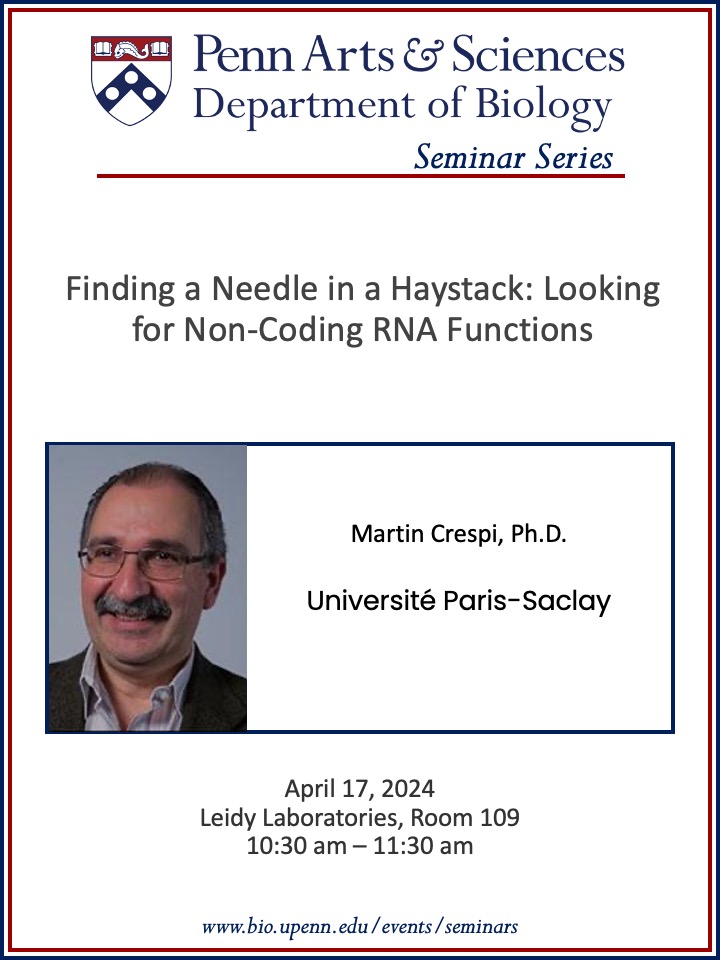 The Dept of Biology is excited to have Dr. Martin Crespi give this week's seminar talk, Finding a needle in a haystack: looking for non-coding RNA functions. It will be Wed, Apr 17 at 10:30AM EST, watch for free via zoom in the link. bio.upenn.edu/events/2024/04…