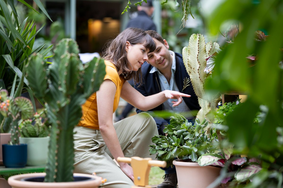Calling all city dwellers! An exciting new plant show focusing on urban gardening and houseplants comes to Manchester this week🌱 🌳 🌷 @The_RHS Urban Show starts this Thursday over at Manchester’s Depot Mayfield. Find out more👉 buff.ly/49FetJu