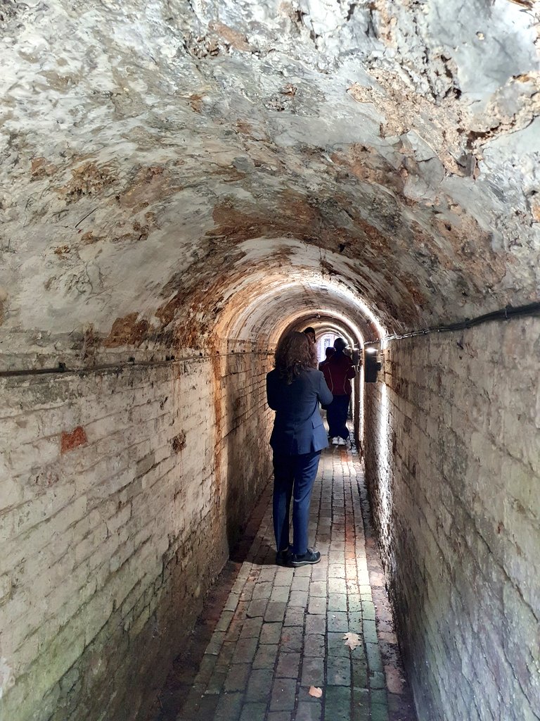 Plenty of #ArchiveMyths for this unique place @BromsSchool The tunnel built by HM Jacob,  'to stop noisy heavy footed boys across his front garden' or  'to stop female members of the household looking at the boys' ? Whatever the truth, it's a favourite tour stop! #Archive30