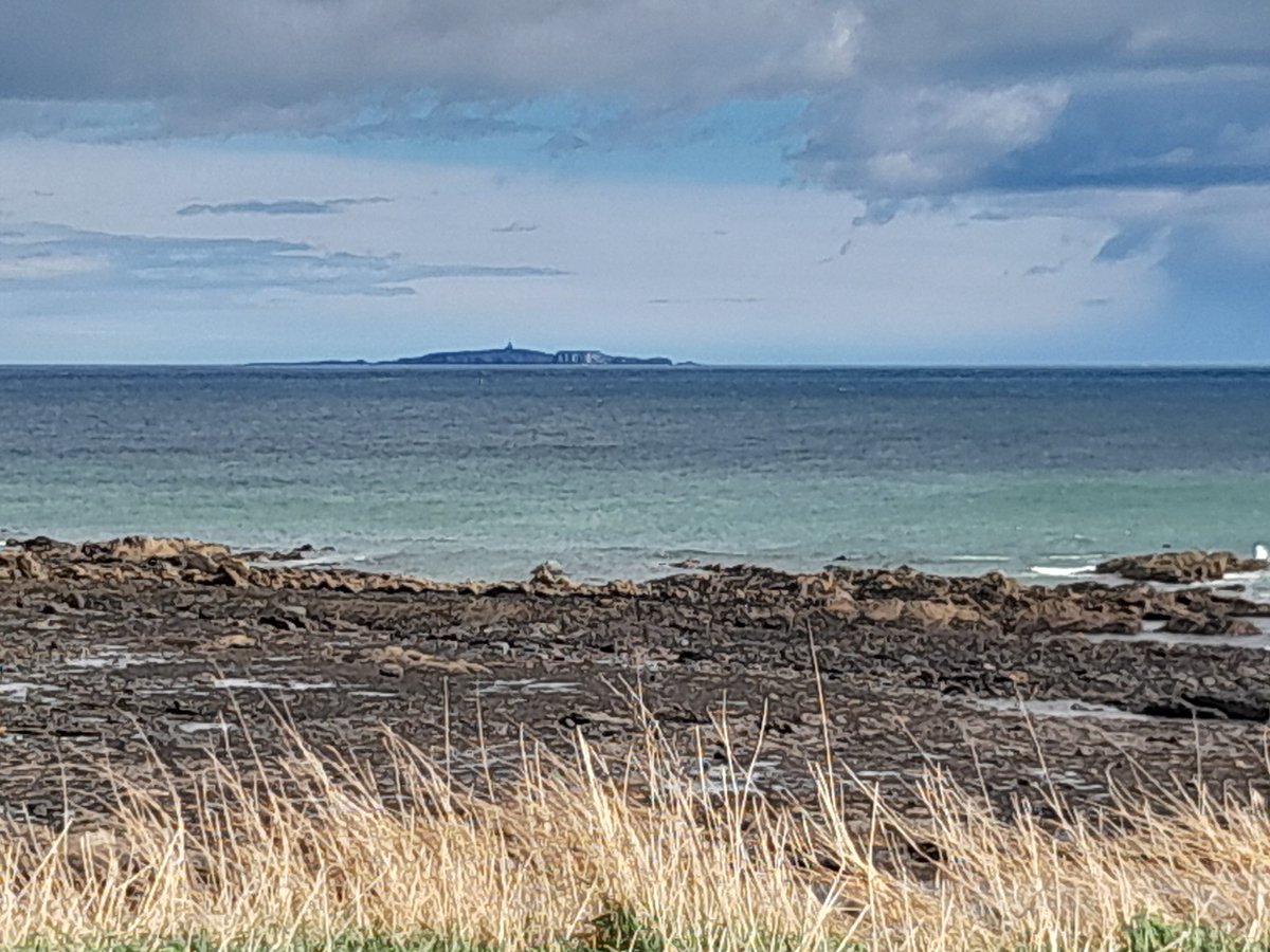 @SteelySeabirder Fife coast, looking back. (Quite pleasant at the moment)