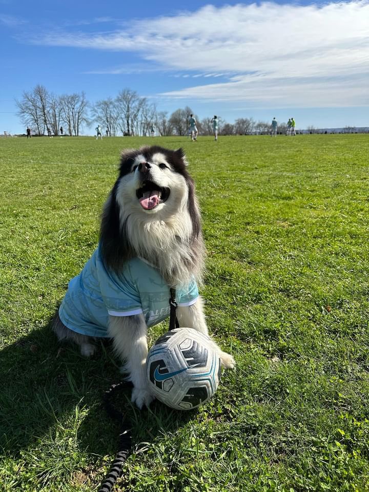 Only happy guy this weekend…
Both teams suffer defeats!