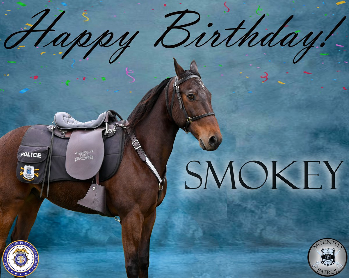 Happy Late Birthday to Smokey! He turned 11 on Saturday. #mountedpatrol #HappyBirthday #memphis #memphistn #lawenforcement #firstresponder #MPD #memphispolicedepartment