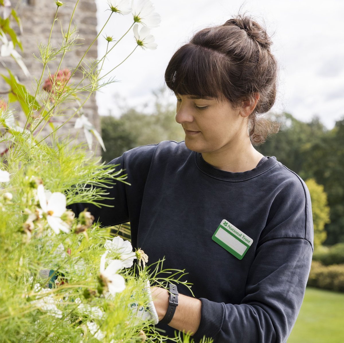 At Bodiam Castle, we always welcome new volunteers, whether you want a regular commitment or to just pop in for a specific role. We believe that life is one long adventure, and we'd love to be part of yours. Find out more: bit.ly/4aPvjWJ 📷 ©NTI/Annapurna Mellor