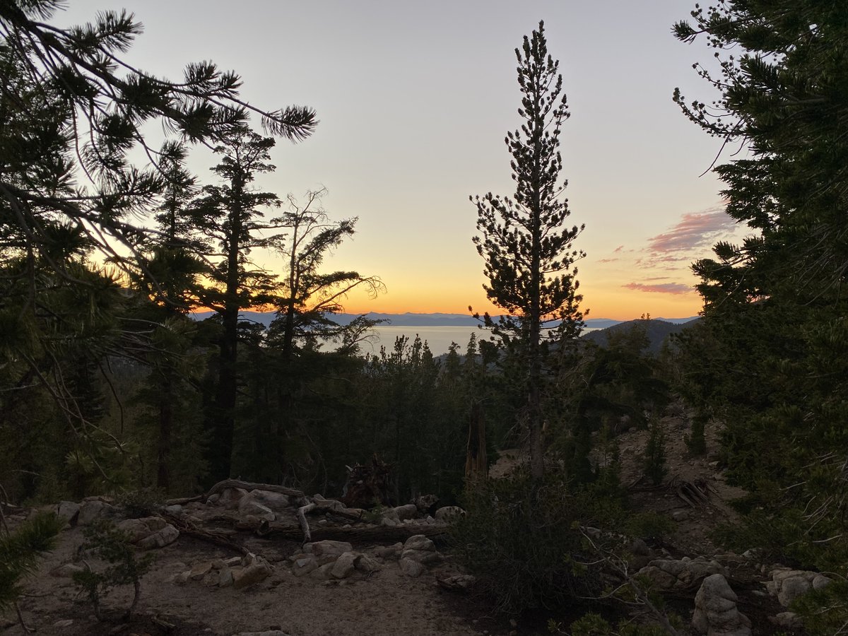 @jrblasz and I are recruiting a postdoc in quantitative ecology to model the population and community dynamics of benthic algal communities. Come join us in the beautiful eastern Sierra and Great Basin! Please share! More details here: nshe.wd1.myworkdayjobs.com/UNR-external/j…