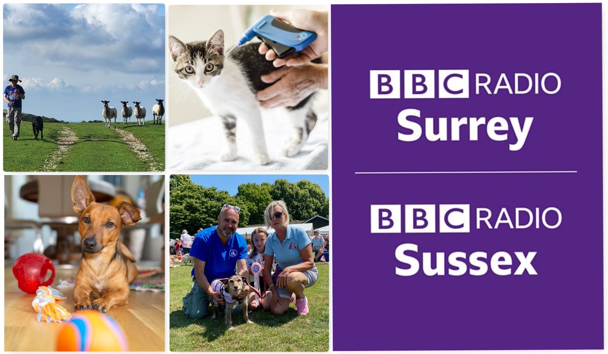 Join @sarahjgorrell & me for #SoundAdvice on Tues 16 April on @BBCSussex/@BBCSurrey. We're discussing keeping dogs under control in countryside, new cat microchipping laws, study showing dogs understand words & dog show dates! From 11.40am: bbc.co.uk/sounds/play/li… #AnimalWelfare