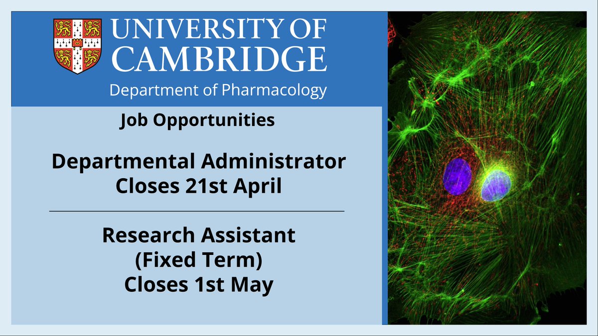We have a range of exciting opportunities to join our Professional Services team and our Research staff! 👏 We are recruiting for: - Departmental Administrator - Research Assistant Click here to apply 👉bit.ly/3OX6aR7